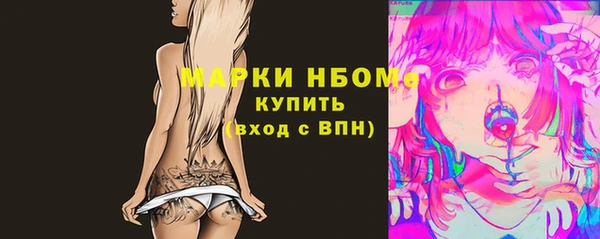 хмурый Новозыбков