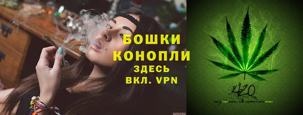 хмурый Новозыбков