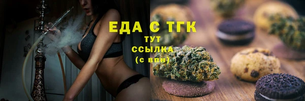 хмурый Новозыбков