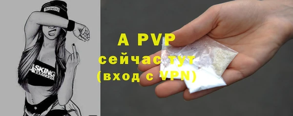 хмурый Новозыбков