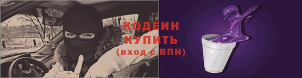 хмурый Новозыбков
