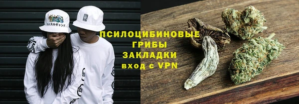 хмурый Новозыбков
