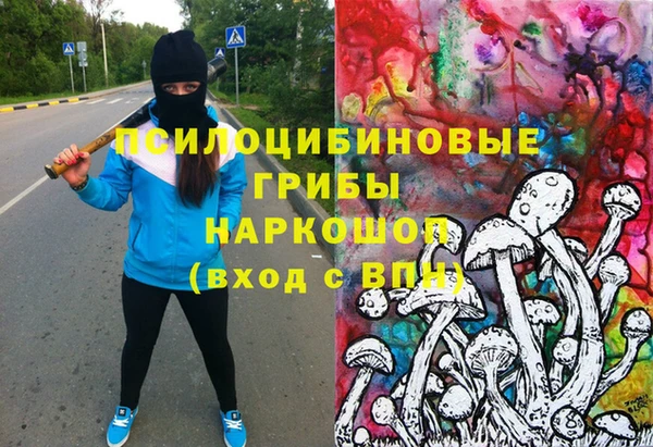 тгк Новокубанск