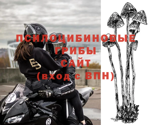 тгк Новокубанск