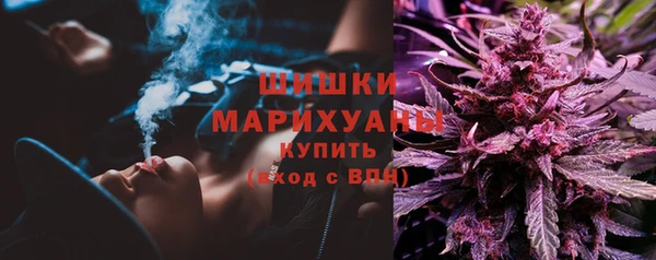хмурый Новозыбков