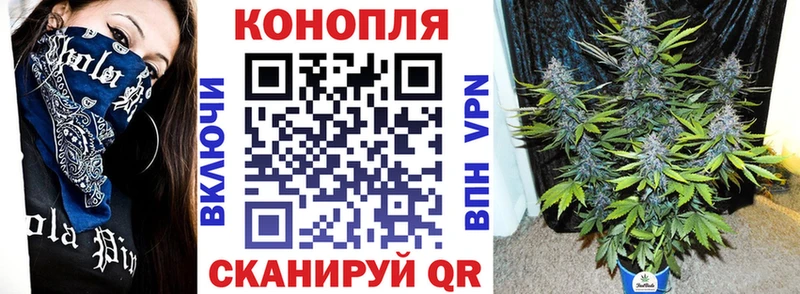 Каннабис THC 21% Алагир